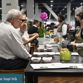  HÀNH TRÌNH TÌM LẠI SỰ AN YÊN TẠI UTOPIA VILLA & RESORT – KHU BẢO TÀNG TRÀ